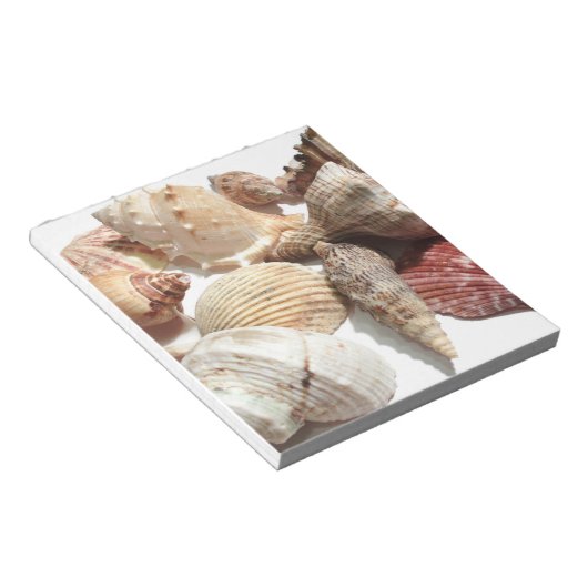 Seashells Notitieblok (Schuin)