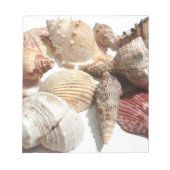 Seashells Notitieblok (Voorkant)
