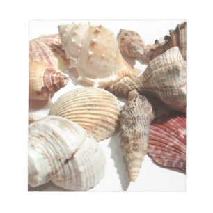 Seashells Notitieblok