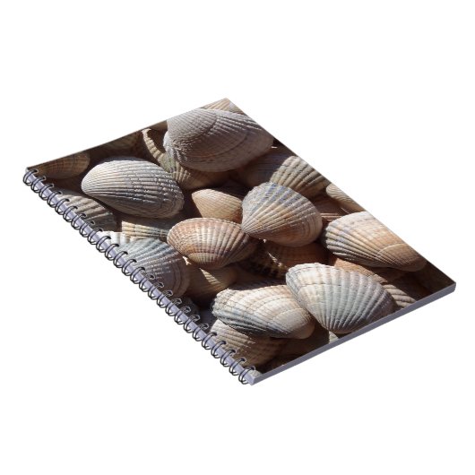 Seashells Notitieboek (Rechterzijde)