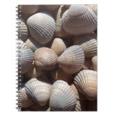 Seashells Notitieboek (Voorkant)