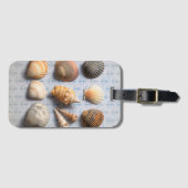 Seashells op ankerachtergrond bagagelabel (Voorkant (horizontaal))