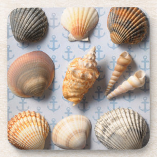 Seashells op ankerachtergrond bier onderzetter