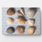 Seashells op ankerachtergrond fotoplaat (voorkant)