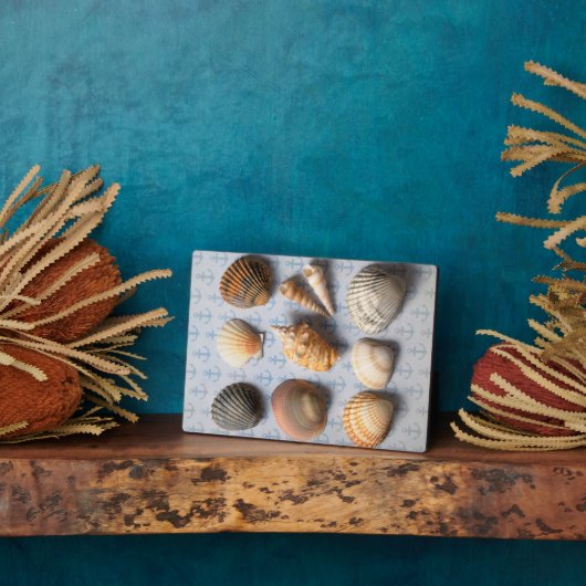 Seashells op ankerachtergrond fotoplaat (Zijkant)