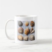 Seashells op ankerachtergrond koffiemok (Links)