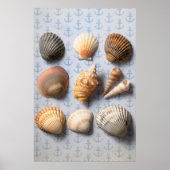 Seashells op ankerachtergrond poster (Voorkant)