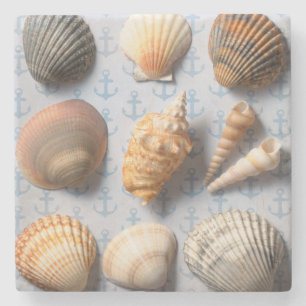 Seashells op ankerachtergrond stenen onderzetter