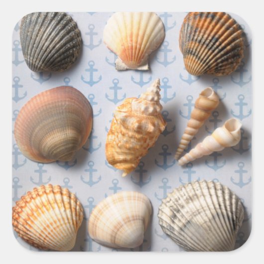 Seashells op ankerachtergrond vierkante sticker (Voorkant)