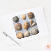 Seashells op ankerachtergrond vierkante sticker (Envelop)