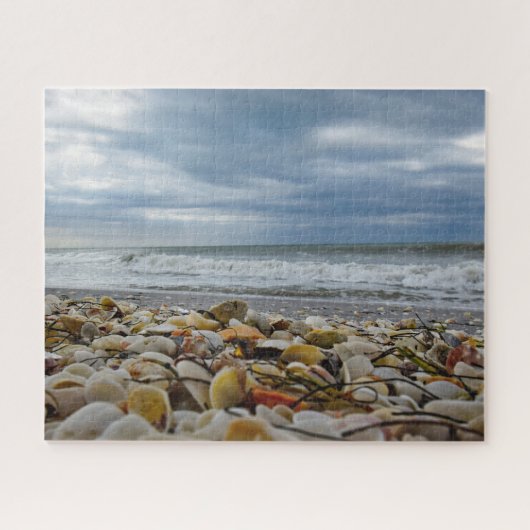 Seashells op de kust - 16 x 20 - 520 stuks legpuzzel (Horizontaal)