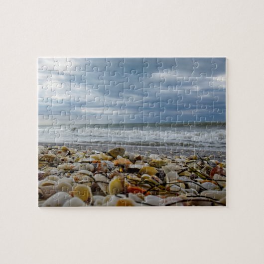 Seashells op de kust - 8 x 10 - 110 stuks legpuzzel (Horizontaal)