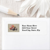 Seashells op het Etiket van het Adres van de Beach (Insitu)