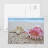 Seashells op het strand Briefkaart (Voorkant / Achterkant)