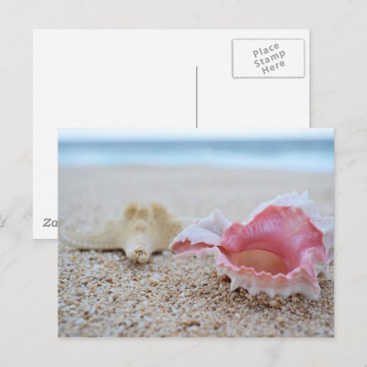 Seashells op het strand Briefkaart (Voorkant / Achterkant)
