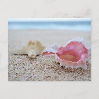 Seashells op het strand Briefkaart