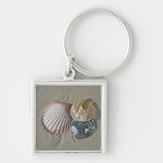 Seashells op het strand Visitekaartje Sleutelhanger (Voorkant)