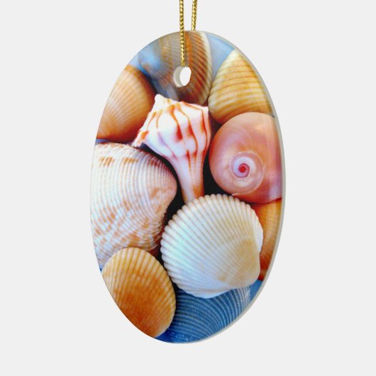 Seashells Ornament (Links)