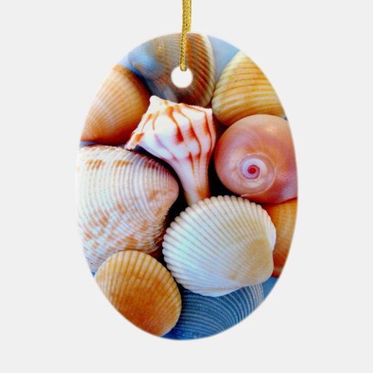 Seashells Ornament (Voorkant)