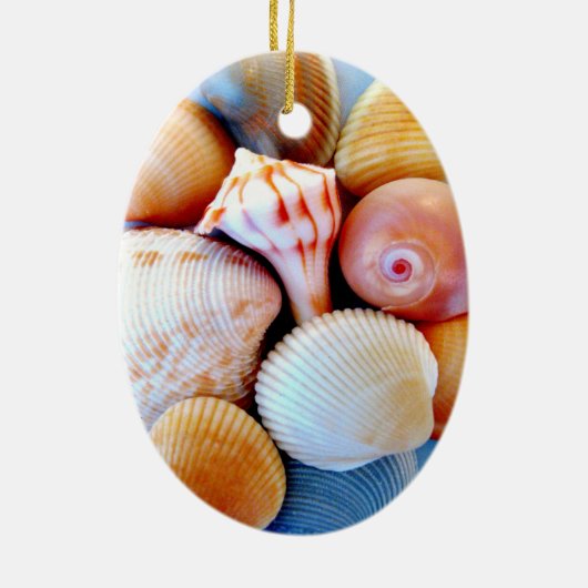 Seashells Ornament (Achterkant)