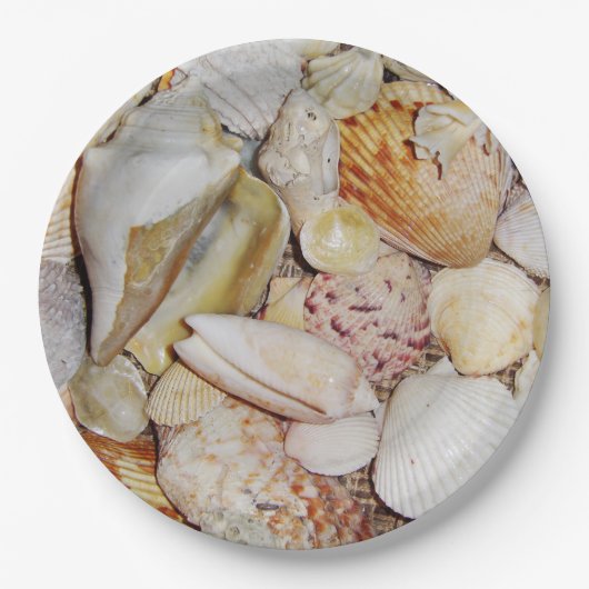 Seashells Papieren Bordje (Voorkant)