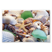 Seashells Photo Prints Foto Afdruk (Voorkant)