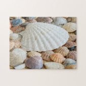 Seashells Photo Puzzle Legpuzzel (Horizontaal)