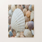 Seashells Photo Puzzle Legpuzzel (Verticaal)
