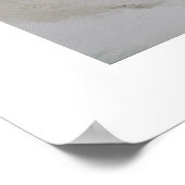 Seashells Poster (Hoek)