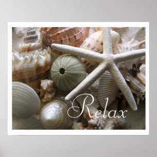 Seashells Print