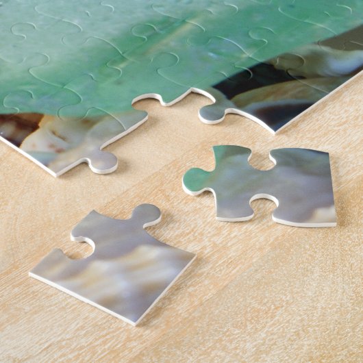 Seashells Puzzle Legpuzzel (Zijkant)