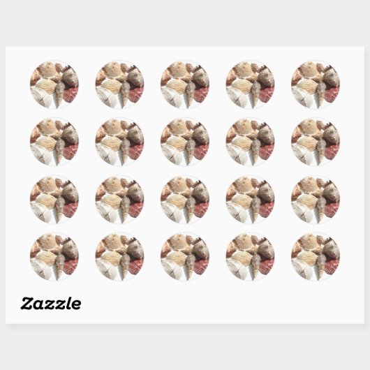 Seashells Ronde Sticker (Vel)