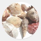 Seashells Ronde Sticker (Voorkant)