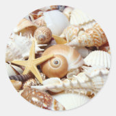 Seashells Ronde Sticker (Voorkant)