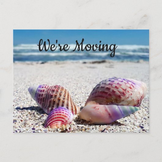 Seashells Sandy Beach Ocean Change of Address Aankondigingskaart (Voorkant)