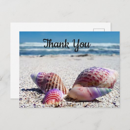 Seashells Sandy Beach Ocean Dank je Briefkaart (Voorkant / Achterkant)