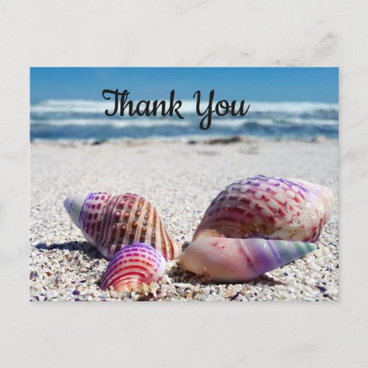 Seashells Sandy Beach Ocean Dank je Briefkaart (Voorkant)