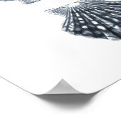 Seashells Sealife Group12A print#4 stranddecor art Poster (Hoek)