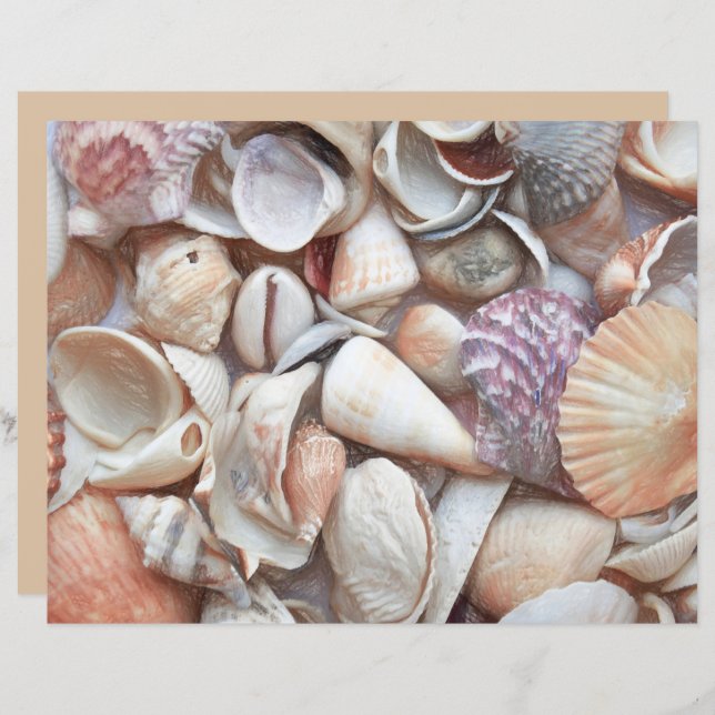 Seashells Sketch Ocean Nautical Beach (Voorkant / Achterkant)