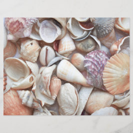 Seashells Sketch Ocean Nautical Beach