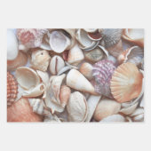 Seashells Sketch Ocean Nautical Beach Inpakpapier Vel (Voorkant 3)