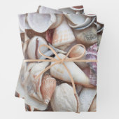 Seashells Sketch Ocean Nautical Beach Inpakpapier Vel (In situ)