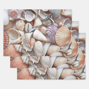 Seashells Sketch Ocean Nautical Beach Inpakpapier Vel