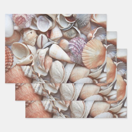 Seashells Sketch Ocean Nautical Beach Inpakpapier Vel (Set)