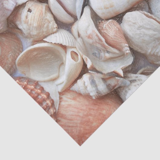 Seashells Sketch Ocean Nautical Beach Tissuepapier (Detail)
