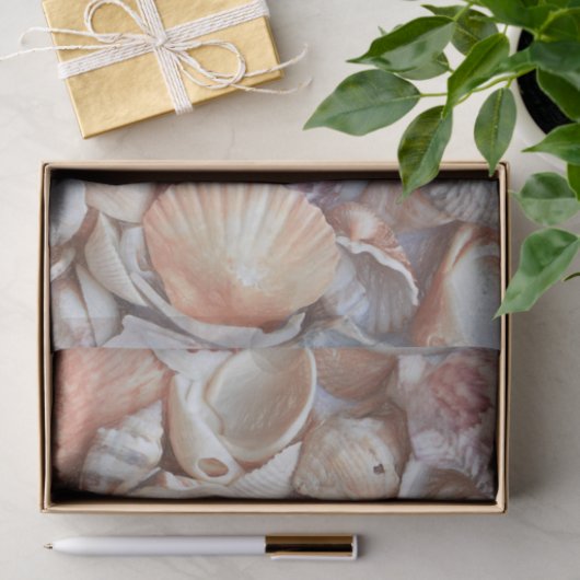Seashells Sketch Ocean Nautical Beach Tissuepapier (Geschenk)