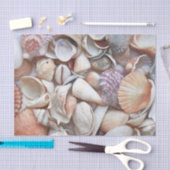 Seashells Sketch Ocean Nautical Beach Tissuepapier (Craft)