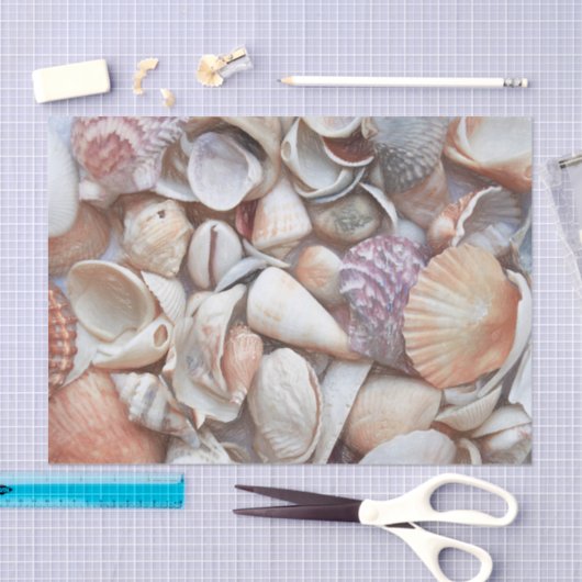 Seashells Sketch Ocean Nautical Beach Tissuepapier (Craft)