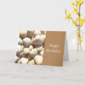 Seashells Summer, Happy Birthday Gefeliciteerd Kaart (Gele Bloem)