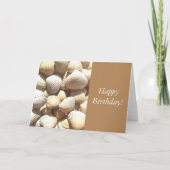 Seashells Summer, Happy Birthday Gefeliciteerd Kaart (Voorkant)